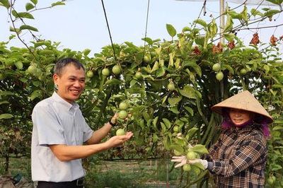 Xây dựng nông thôn mới ở An Khánh thích ứng với nhịp sống đô thị