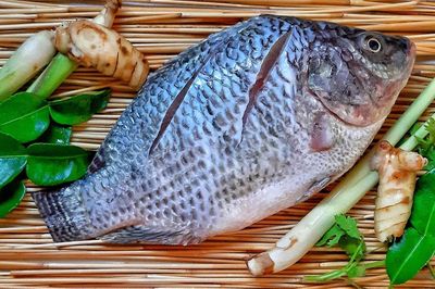 Loại cá bán đầy chợ Việt giá chỉ vài chục nghìn đồng/kg, được khen giàu protein hơn cá hồi