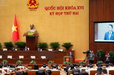 Đề xuất nâng mức phạt vi phạm hành chính lên 1,5 tỷ đồng với cá nhân