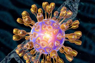 Virus ảnh hưởng đến 60% dân số thế giới chứa manh mối về nguy cơ mắc Alzheimer