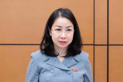 ĐBQH: Cần xem xét xử lý hành vi lừa đảo chiếm đoạt tài sản qua mạng từ khi chuẩn bị phạm tội