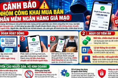 Phát hiện nhóm tìm mua phần mềm ngân hàng giả để lừa đảo