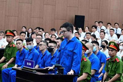 Hồ sơ y khoa được gửi đến tòa án kiến nghị đưa Mr Pips đi giám định tâm thần