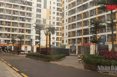 [Video] Đà Nẵng đề xuất hỗ trợ mua nhà ở đến 800 triệu đồng để thu hút nhân tài