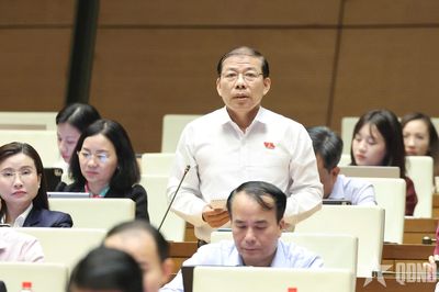 Đại biểu Quốc hội đề nghị giữ án tử hình với tội mua bán trái phép chất ma túy