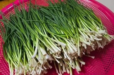 Những cọng hành của người cha mắc chứng sa sút trí tuệ