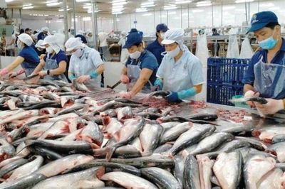 Thành công của VEFTA đo bằng những dự án được triển khai