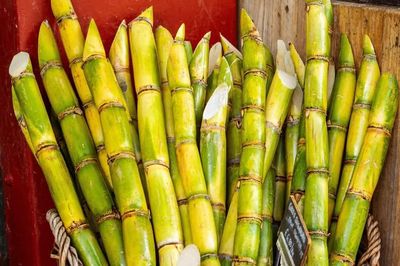 Tin lời mách trên mạng, người đàn ông 66 tuổi ăn 1 cây mía mỗi ngày, bị tê người, nói khó khiến gia đình tưởng đột quỵ