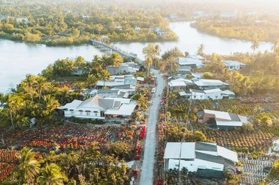 Vĩnh Long xây dựng Ngân hàng giống nông nghiệp: Ứng dụng AI, số hóa để làm chủ nguồn gen