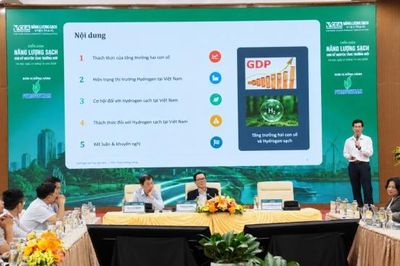 Năng lượng sạch trước bài toán tăng trưởng mới