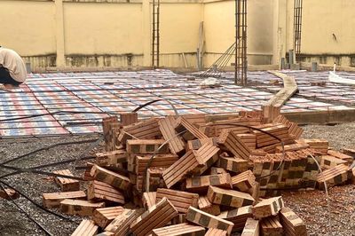 Xây chuồng trại nuôi lợn rộng 495m2 có phải xin giấy phép xây dựng?