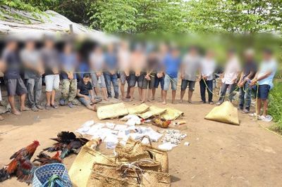 Triệt phá tụ điểm 'đá gà' trong khu lau sậy, bắt giữ 18 đối tượng