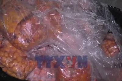 Lào Cai: Thu giữ hơn 700kg trứng gà non có dấu hiệu hư hỏng
