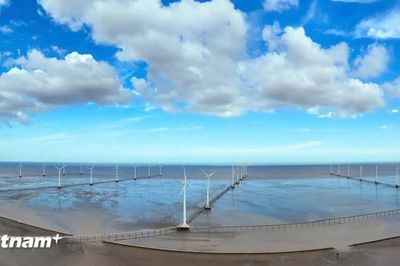 Triển khai thu giữ và lưu trữ carbon: Sớm hoàn thiện thể chế, thí điểm phù hợp