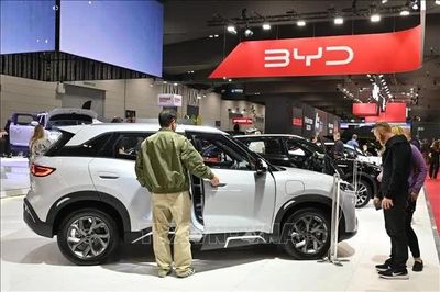 Lý do Mỹ cấm xe BYD của Trung Quốc vào căn cứ Không quân tại Nhật Bản