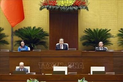 Quốc hội thảo luận về dự thảo Bộ luật Hình sự (sửa đổi)