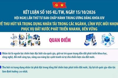 Kết luận số 105-KL/TW về thu hút và trọng dụng nhân tài