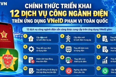 EVN hướng dẫn thực hiện 12 dịch vụ điện trên VNeID