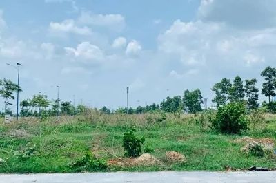 Không nộp tiền thuê đất, doanh nghiệp bị thu hồi gần 9.300m² đất