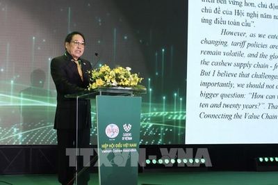 Kết nối, định hình tương lai chuỗi cung ứng hạt điều toàn cầu