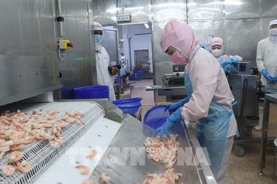 Nghị quyết 57-NQ/TW: 'Lực đẩy' sinh tồn của khối doanh nghiệp nhỏ và vừa
