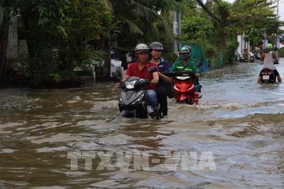 Người dân TP. Hồ Chí Minh chật vật xoay sở với đỉnh triều cường lên cao