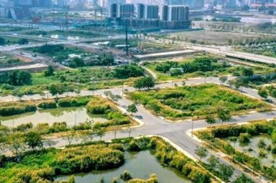 Chào giá tư vấn xác định giá đất tại KCN Tân Bình và khu đất 3.657m² ở Bình Chiểu