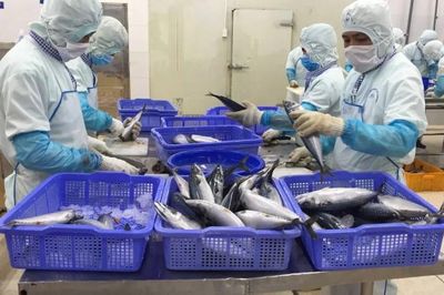 Vốn đắt đỏ bóp nghẹt dư địa tăng trưởng của doanh nghiệp
