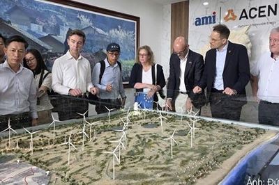 Đoàn công tác của Bộ Công Thương và Phái đoàn Liên minh châu Âu thăm trang trại điện gió B&T