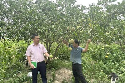 Ngân hàng chính sách xã hội Hà Trung nâng cao chất lượng tín dụng chính sách