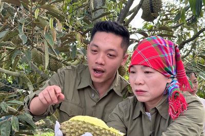 Đưa sầu riêng từ buôn làng Tây Nguyên đến người tiêu dùng qua thương mại điện tử