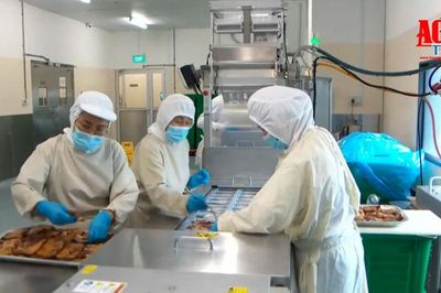Singapore tiếp tục nâng tuổi nghỉ hưu