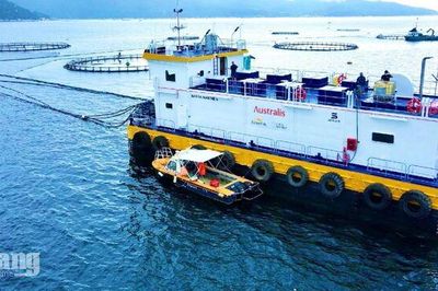 An Giang tìm hướng phát triển nuôi biển công nghệ cao