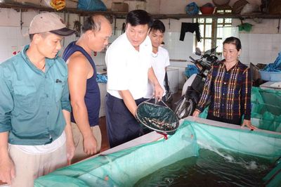 Bắc Ninh: Ứng dụng công nghệ cao sản xuất giống thủy sản