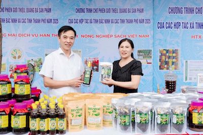 Phụ nữ Bắc Ninh tìm thêm thị trường cho sản phẩm địa phương