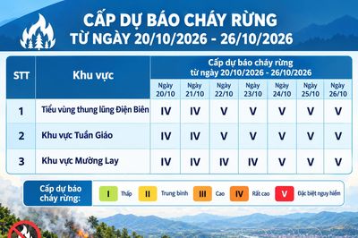 Chủ động phòng, chống cháy rừng mùa khô