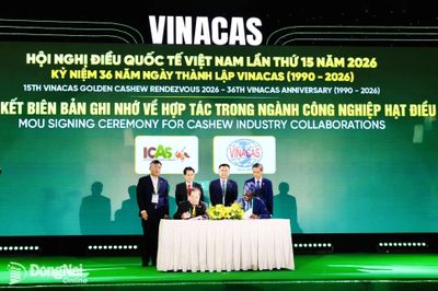Chế biến sâu để tăng giá trị cạnh tranh cho ngành điều