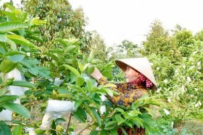Xã An Hữu: Phát triển kinh tế, nâng cao đời sống người dân