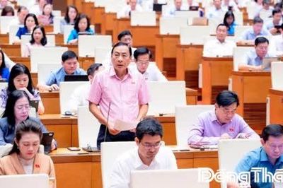 Đại biểu Quốc hội tỉnh Đồng Tháp kiến nghị nhiều vấn đề trọng tâm tại nghị trường