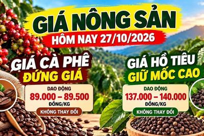 Giá nông sản hôm nay 27/10: Cà phê đứng giá dưới 90.000 đồng/kg
