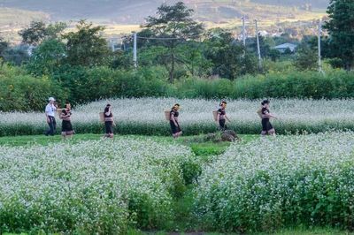 Chung sức cho mùa hội ở Biển Hồ