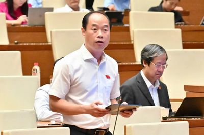 Khoan hồng có điều kiện đối với người tự nguyện nhận tội, chấp nhận hình phạt được đề nghị