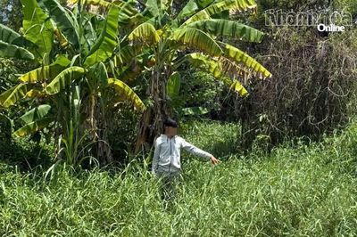 Khởi tố, bắt tạm giam 2 thanh niên chém người, gây rối ở khu dân cư