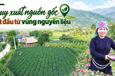 Truy xuất nguồn gốc bắt đầu từ vùng nguyên liệu