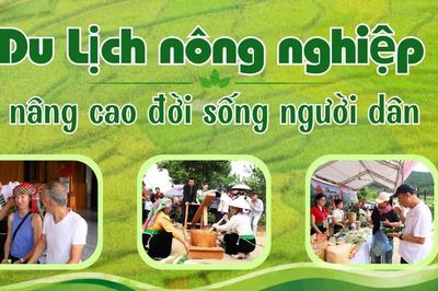 Du lịch nông nghiệp nâng cao đời sống người dân