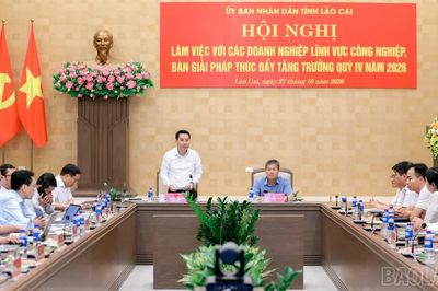 Chủ tịch UBND tỉnh Nguyễn Tuấn Anh: Kịp thời tháo gỡ khó khăn, vướng mắc, không để chậm trễ làm mất cơ hội sản xuất, kinh doanh của doanh nghiệp