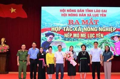 Ra mắt Hợp tác xã nông nghiệp nếp Mò Me Lục Yên