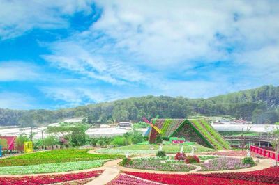 Vườn hoa Đà Lạt làm mới trải nghiệm mùa Festival