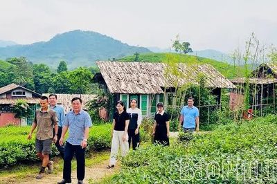 Minh Đài - Tinh gọn bộ máy gắn với yêu cầu phát triển mới