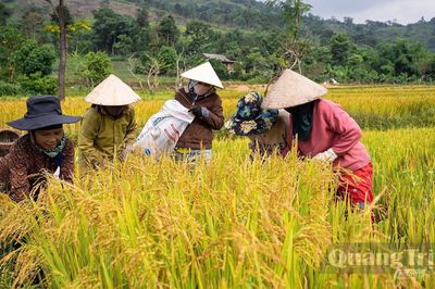 Hướng Hiệp nỗ lực phát triển kinh tế